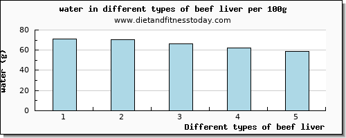 beef liver water per 100g